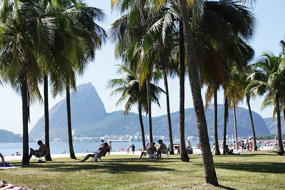 People relaxing under palm trees at Flamengo Beach with Sugarloaf Mountain in Rio de Janeiro.