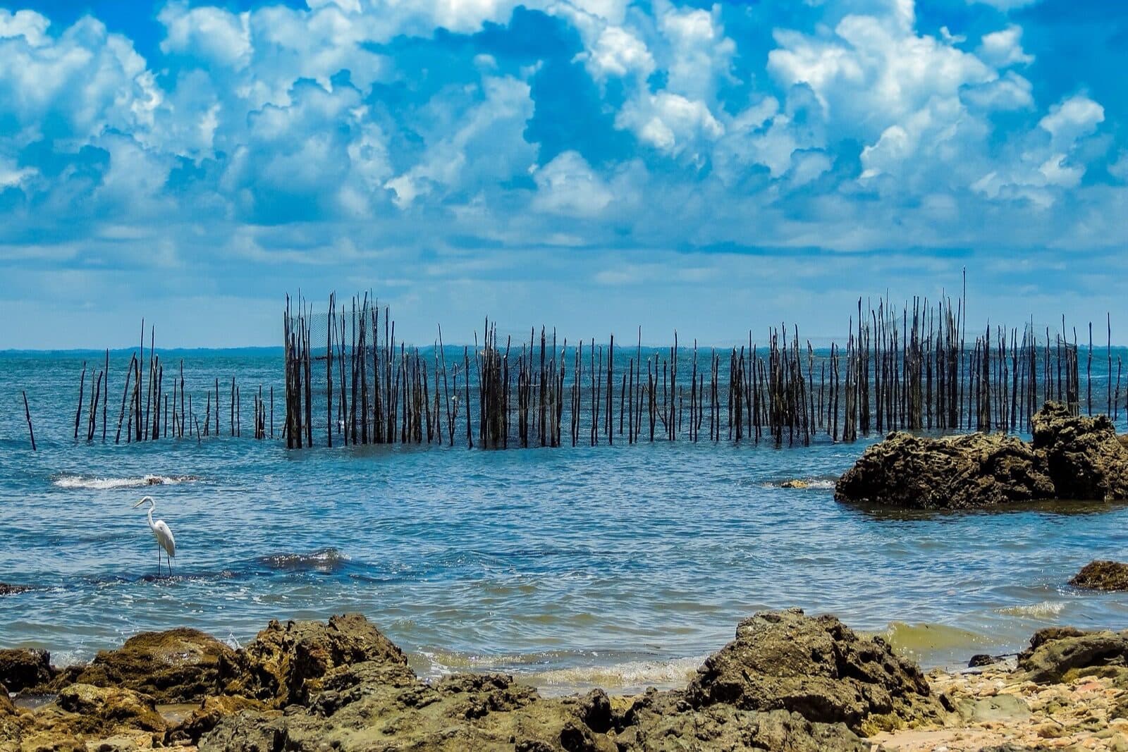 Wooden fishing stakes standing in the shallow water off Praia da Gamboa in Morro de São Paulo, with an egret on the rocks in the foreground and the mainland on the horizon