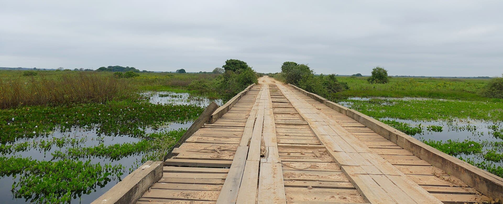 Single-lane wooden bridge with loose planks crossing flooded wetland on the Transpantaneira dirt road near Poconé, Mato Grosso