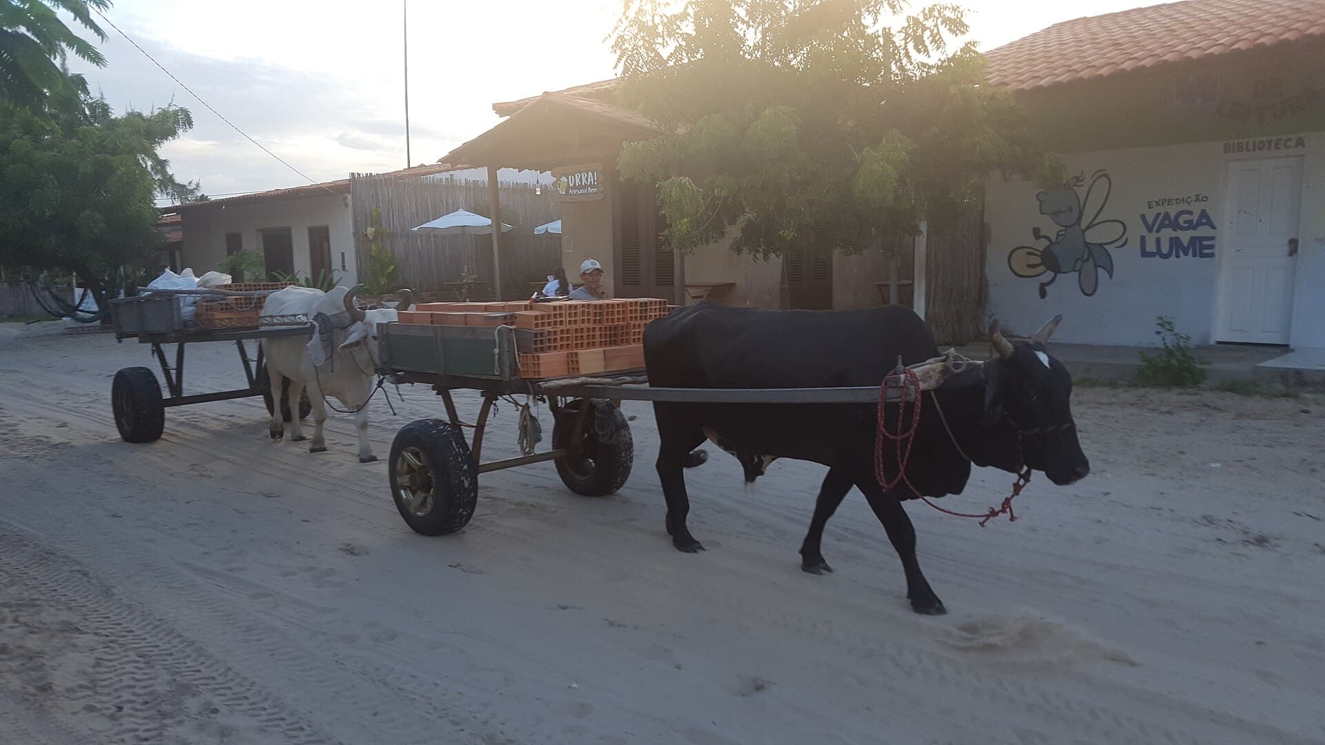 An ox pulling a wooden cart loaded with bricks along a sand street in the village of Atins, past a low house painted with a library mural