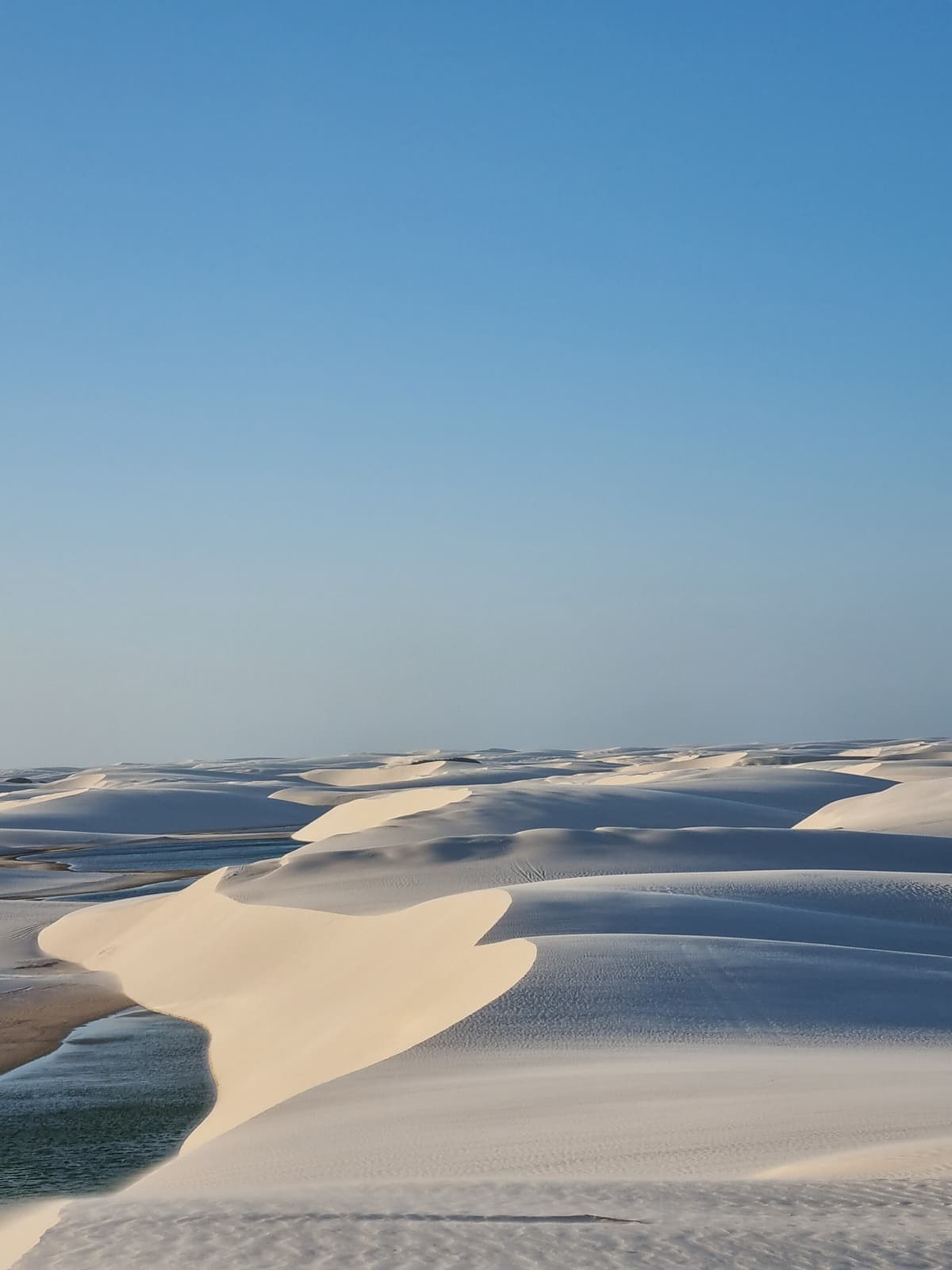 White dunes rolling to the horizon in Lençóis Maranhenses in the late-afternoon light, with a dark lagoon tucked against a dune in the foreground
